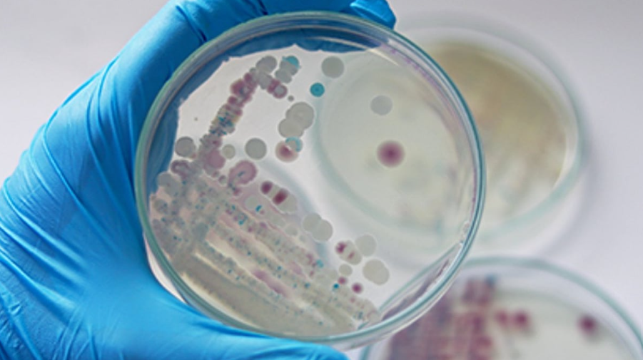 mrsa